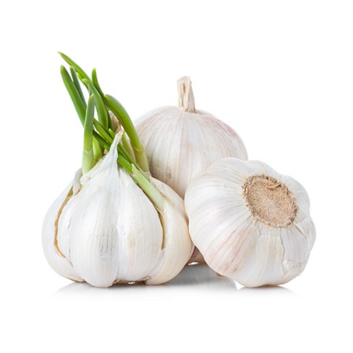 How to Grow Garlic?
