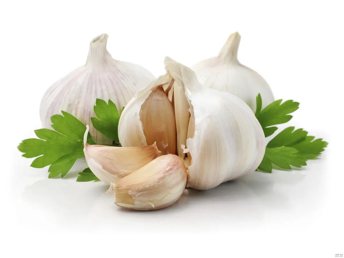 Health Benefits of Garlic